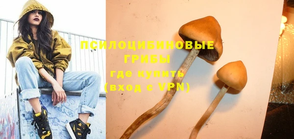 амф Бугульма