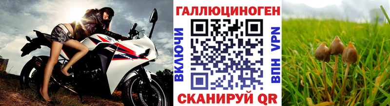 Галлюциногенные грибы мицелий  darknet наркотические препараты  Игра  где продают  